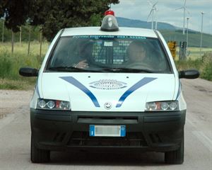 Ricerca personale di vendita per servizi di vigilanza a Lucera e provincia di Foggia