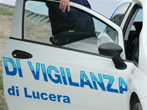 Leggi: L'intervento della Vigilanza Città di Lucera sventa il furto di mezzi agricoli in zona San Giusto